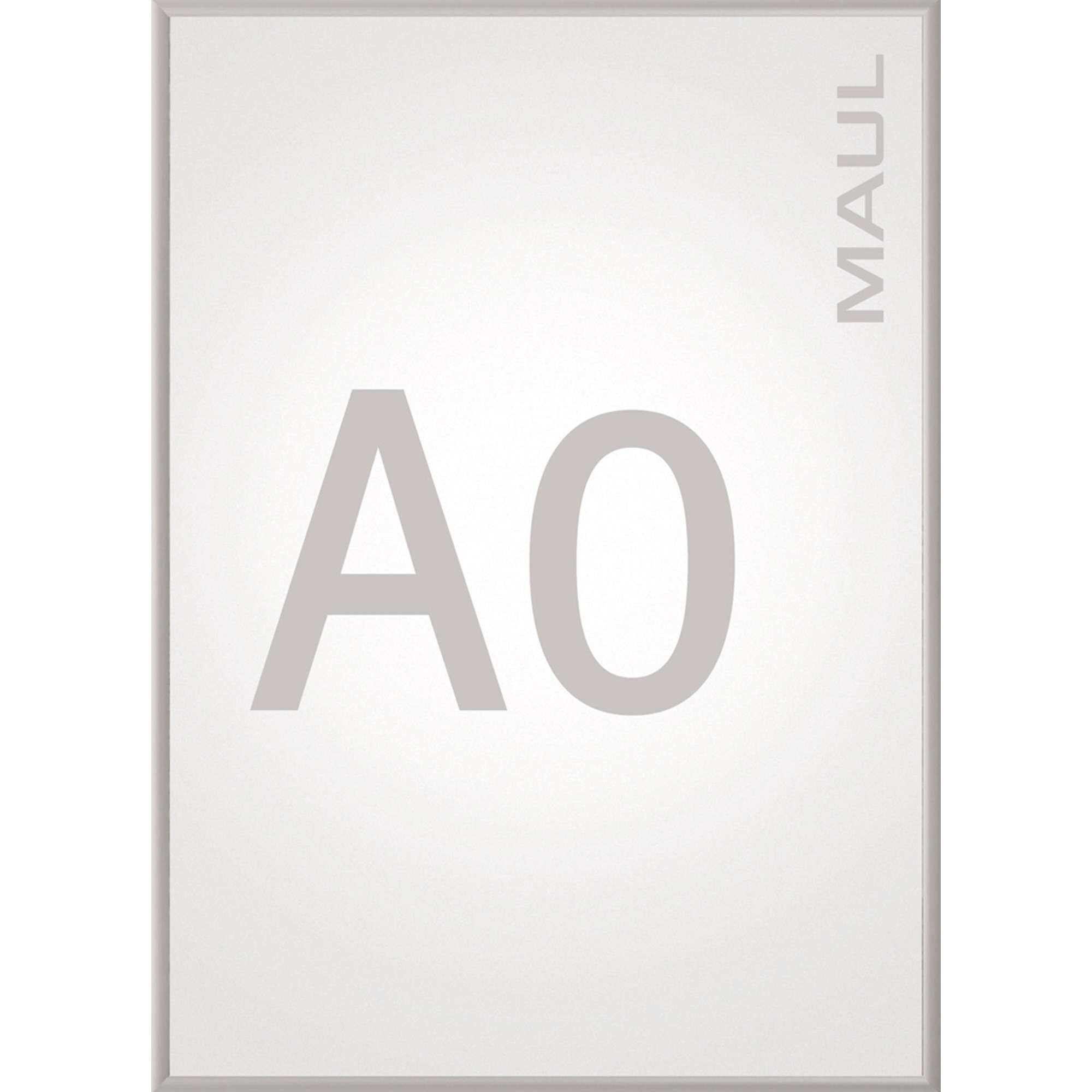 A013969P