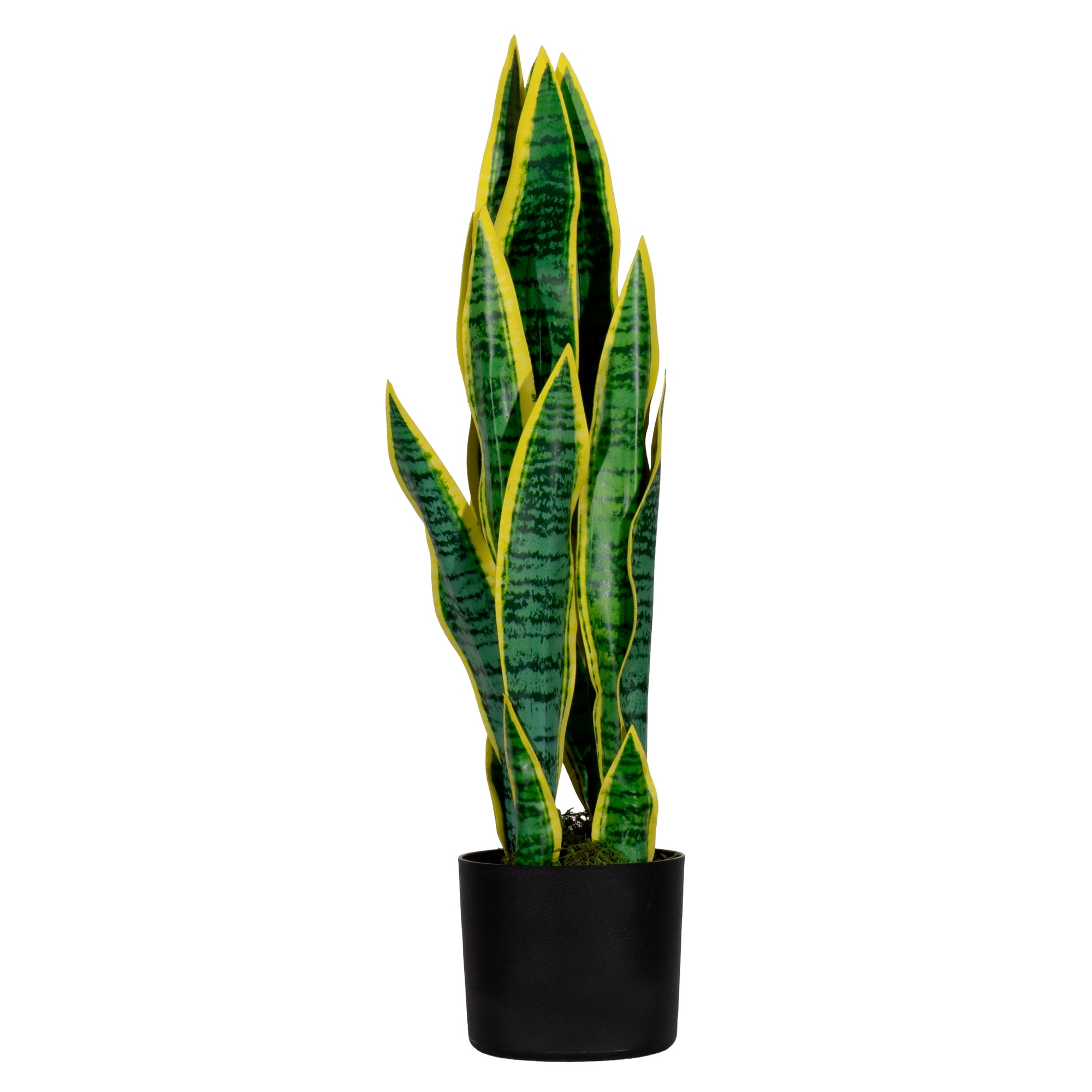 Y001140V