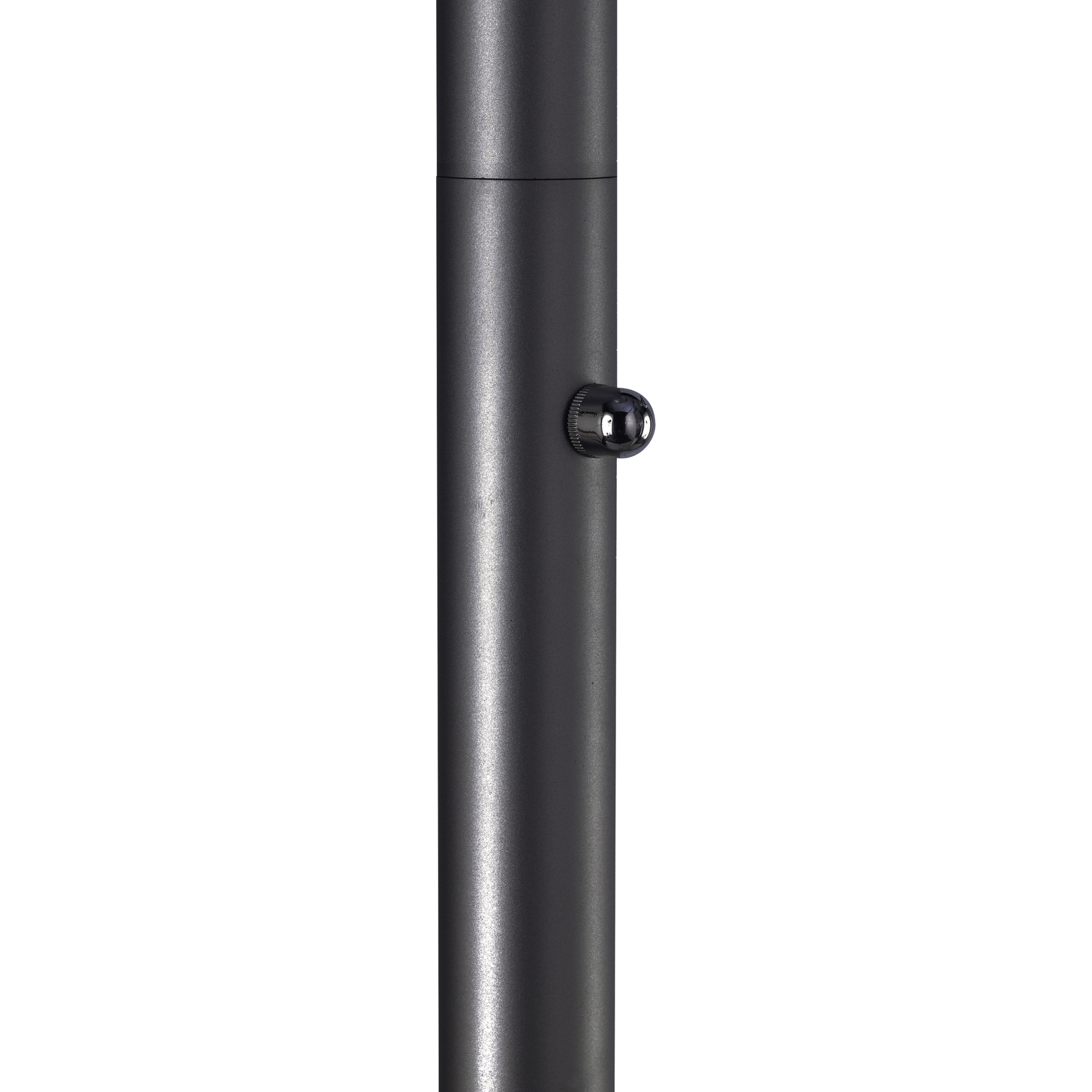 A013637T