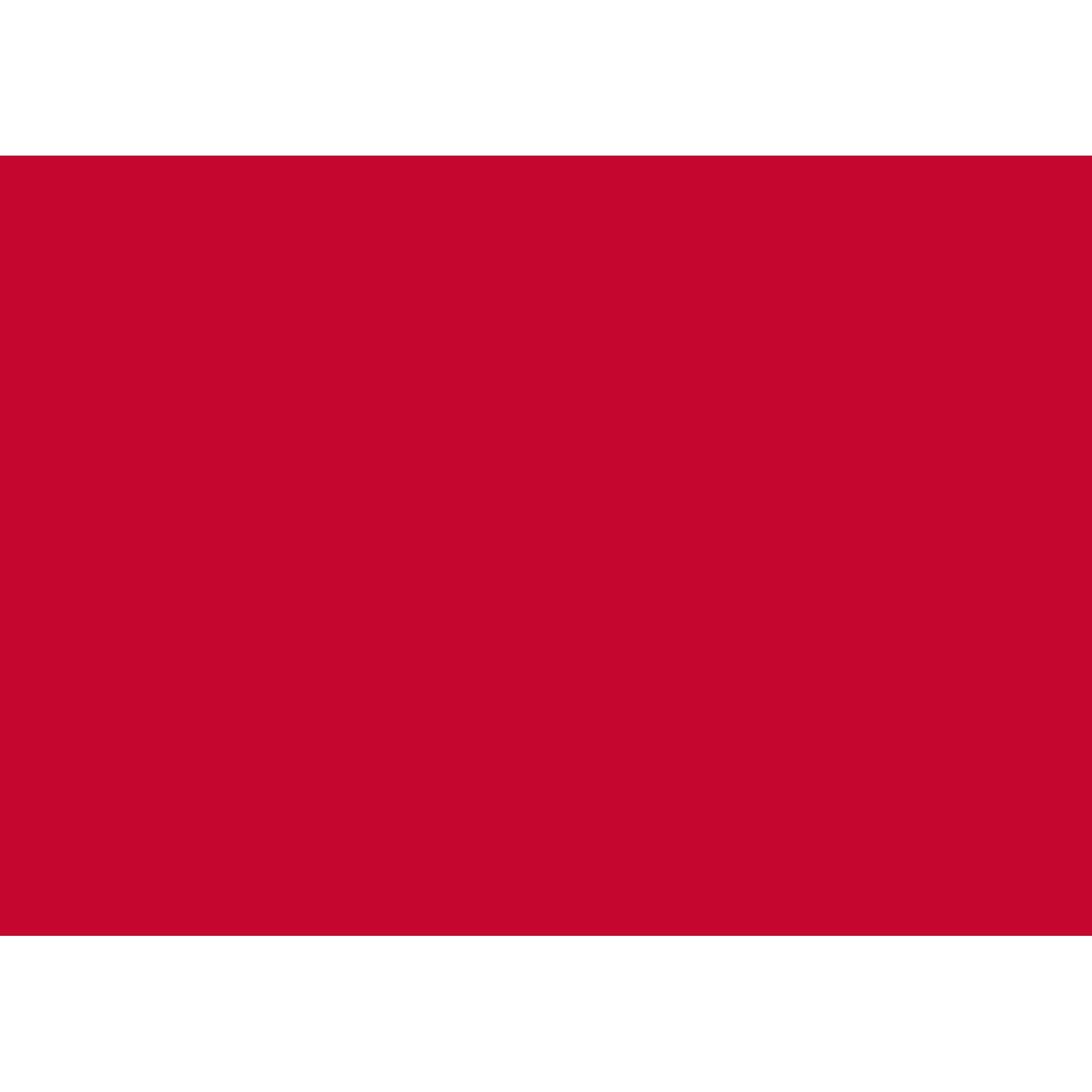Produktabbildung - Einzelabbildung A013007C